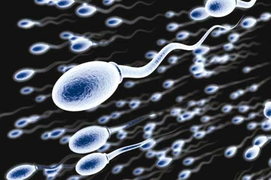 چه تعداد اسپرم برای بارداری نیاز است؟