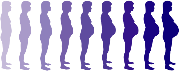 اندازه شکم در ماههای مختلف بارداری