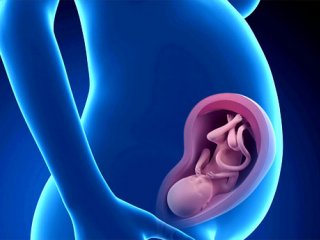 6 نا‌هنجاری‌ رحمی و تاثیر آن در بارداری