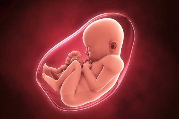 چطور جنین رو در شکم بیدار کنیم؟