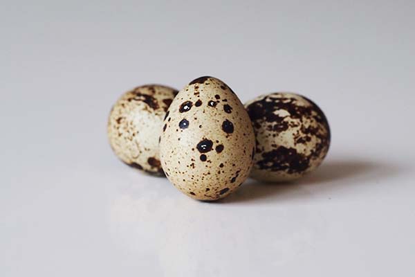 آیا تخم بلدرچین برای کودکان خوب است؟